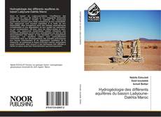 Hydrogéologie des différents aquifères du bassin Laâyoune-Dakhla Maroc kitap kapağı