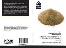 Copertina di Extraction, Characterization of Silica and Immobilized with Amino