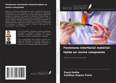 Buchcover von Fenómeno interfacial material-tejido en resina compuesta