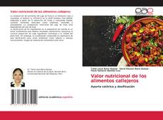 Couverture de Valor nutricional de los alimentos callejeros