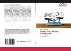 Copertina di Derecho Laboral Colectivo