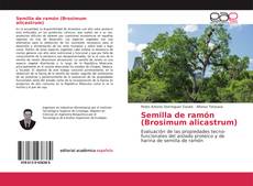Bookcover of Semilla de ramón (Brosimum alicastrum)