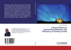 Buchcover von Internal Revenue Generating Methods and Efficiency at Tertiary Levels