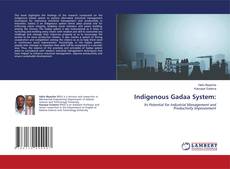 Copertina di Indigenous Gadaa System: