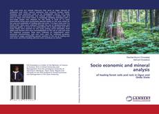 Copertina di Socio economic and mineral analysis