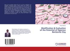Buchcover von Modification & Evaluation of the Potential of Ngierian Bentonite Clay