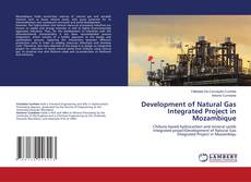 Copertina di Development of Natural Gas Integrated Project in Mozambique