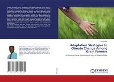 Copertina di Adaptation Strategies to Climate Change Among Grain Farmers
