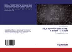 Buchcover von Boundary Value Problems in Linear Transport