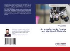 Copertina di An Introduction to Ferroics and Multiferroic Materials