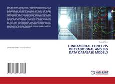 Buchcover von FUNDAMENTAL CONCEPTS OF TRADITIONAL AND BIG DATA DATABASE MODELS