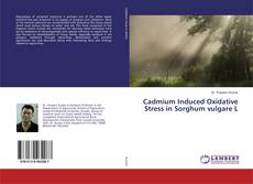 Couverture de Cadmium Induced Oxidative Stress in Sorghum vulgare L