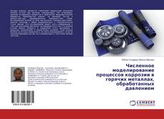 Buchcover von Численное моделирование процессов коррозии в горячих металлах, обработанных давлением