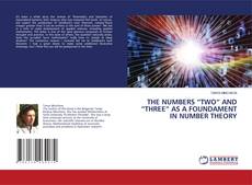 Copertina di THE NUMBERS “TWO” AND “THREE“ AS A FOUNDAMENT IN NUMBER THEORY