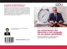 Buchcover von La vulneración del derecho a ser juzgado en un plazo razonable