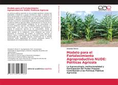 Copertina di Modelo para el Fortalecimiento Agroproductivo NUDE: Políticas Agricola