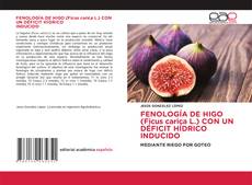 Couverture de FENOLOGÍA DE HIGO (Ficus carica L.) CON UN DÉFICIT HÍDRICO INDUCIDO