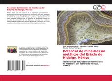 Copertina di Potencial de minerales no metálicos del Estado de Hidalgo, México