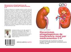 Mecanismos etiopatogénicos de insuficiencia renal por medicamentos C-V kitap kapağı