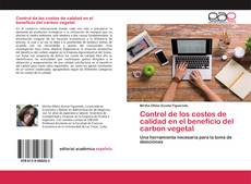 Обложка Control de los costos de calidad en el beneficio del carbon vegetal