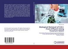 Обложка Biological Removal of Cr6+ From Effluent Using Fusarium Solani