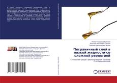 Пограничный слой в вязкой жидкости со сложной реологией的封面