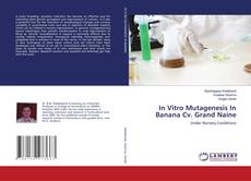 Copertina di In Vitro Mutagenesis In Banana Cv. Grand Naine