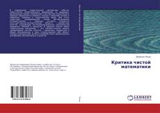Критика чистой математики的封面