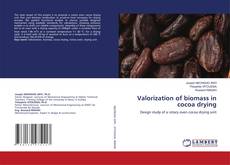 Valorization of biomass in cocoa drying的封面