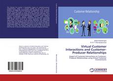 Bookcover of Virtual Customer Interactions and Customer-Producer Relationships