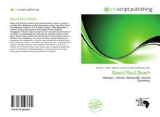 David Paul Drach的封面