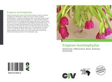 Copertina di Erigeron lonchophyllus