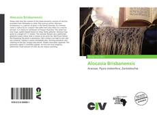 Copertina di Alocasia Brisbanensis