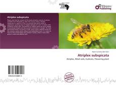 Atriplex subspicata的封面