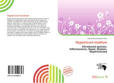 Portada del libro de Hypericum mutilum