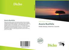 Acacia Buxifolia kitap kapağı