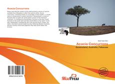 Bookcover of Acacia Concurrens