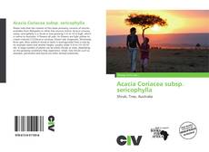 Acacia Coriacea subsp. sericophylla的封面