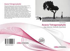 Acacia Tetragonophylla kitap kapağı