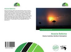 Borítókép a  Acacia Salicina - hoz
