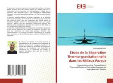 Couverture de Étude de la Séparation Thermo-gravitationnelle dans les Milieux Poreux