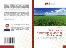 L'Agriculture de Conservation au Service de l'Environnement的封面