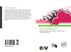 Carex praegracilis的封面