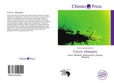 Bookcover of Carex obnupta