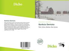 Capa do livro de Banksia Dentata 