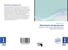 Bookcover of Eleocharis atropurpurea