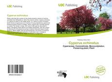 Bookcover of Cyperus echinatus