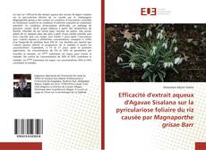 Efficacité d'extrait aqueux d'Agavae Sisalana sur la pyriculariose foliaire du riz causée par Magnaporthe grisae Barr kitap kapağı
