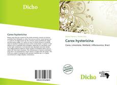 Capa do livro de Carex hystericina 