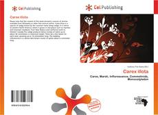 Portada del libro de Carex illota